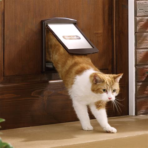 petsafe large cat door|cat flap for large cats.